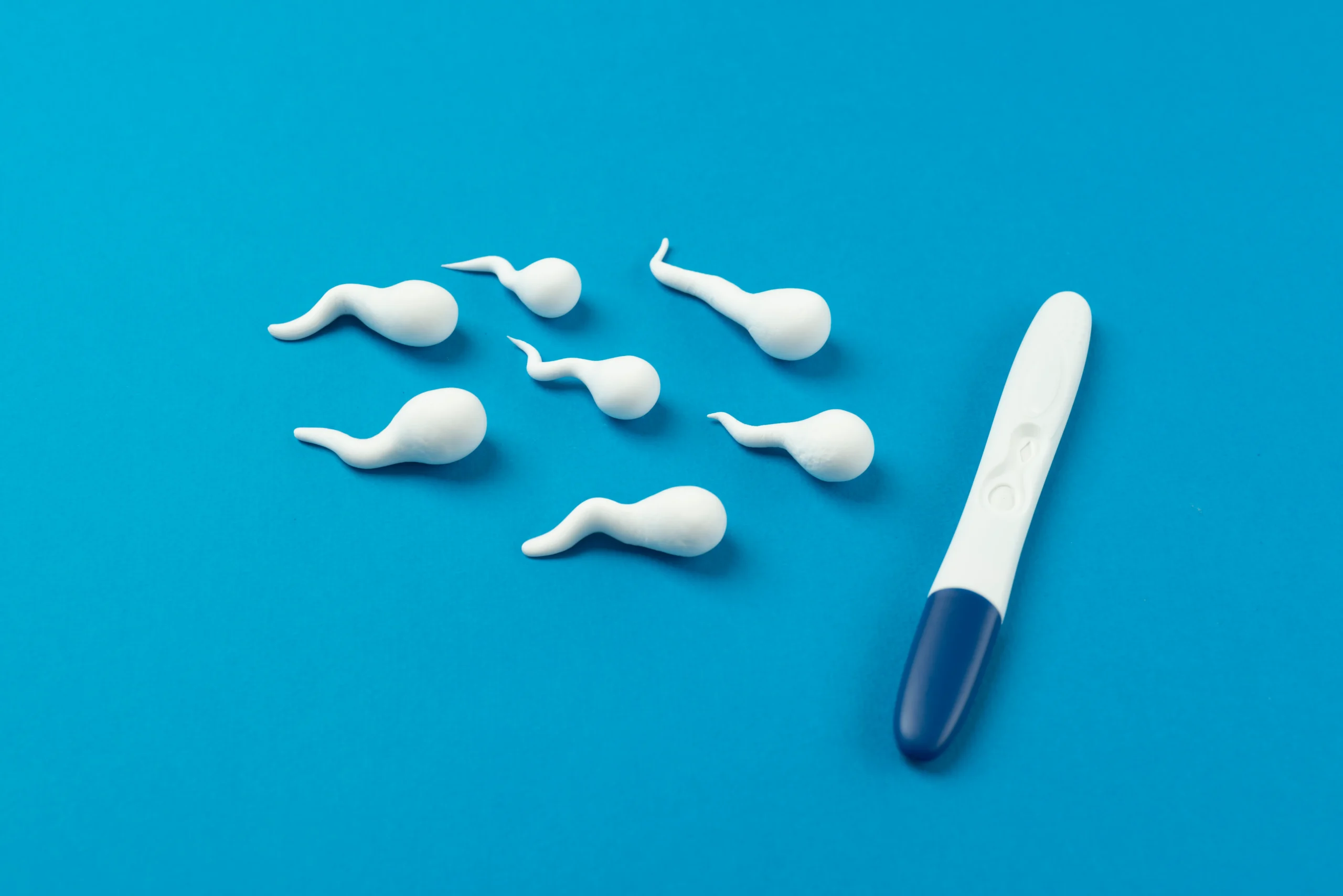 pregnancy-test-still-life-arrangement